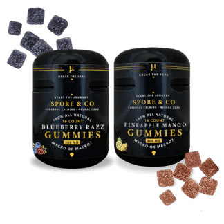 Vegan Earthly Fruit Chews