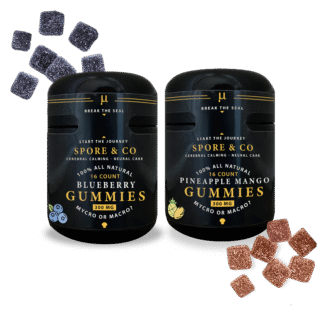 Vegan Earthly Fruit Chews
