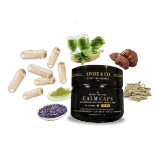 Vegan Calm Capsules with Blue Lotus & Ashwagandha Functional Blend