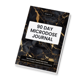 90-Day Paperback Journal